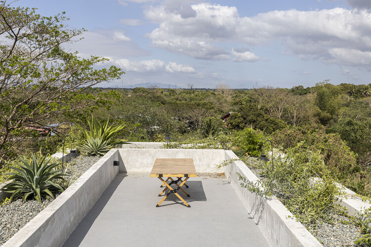 Casa Borbon / Cali Architects - Экстерьерная фотография, стул, сад
