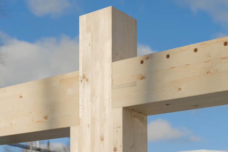 Компания Powerhouse спроектировала крупнейшее деревянное жилищное строительство в Нидерландах — изображение 3 из 6