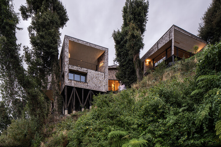 MM House / Benjamin Goñi Arquitectos + Claro + Westendarp arquitectos - Фотография экстерьера, окна, лес