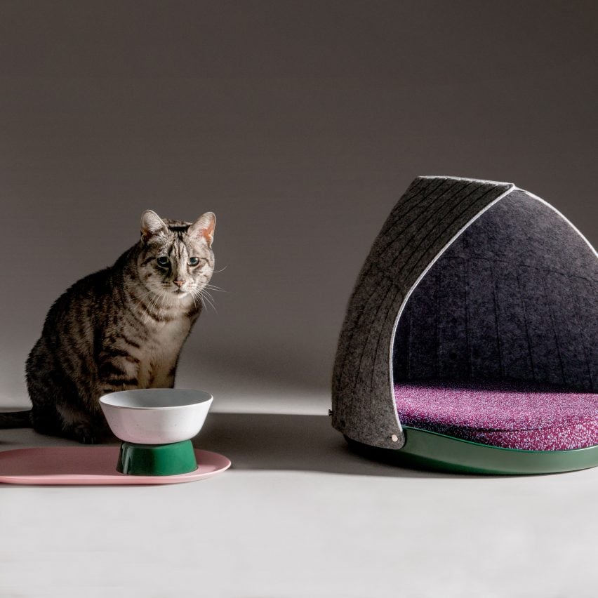 Layer и Cat Person создают мебель для кошек, удобную для социальных сетей