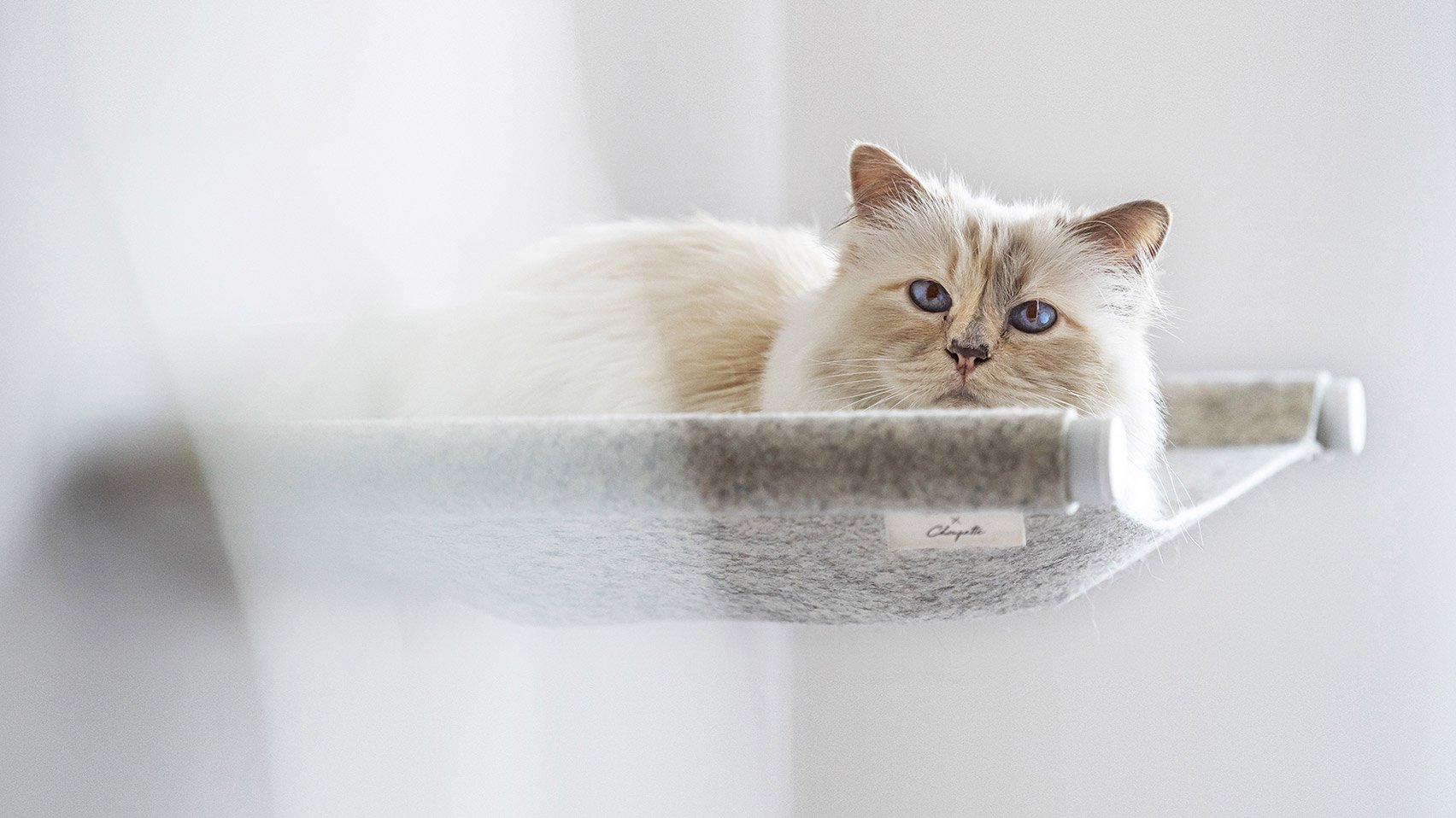 Десять кроватей для домашних животных, которые доказывают, что мебель для животных тоже может быть интересной