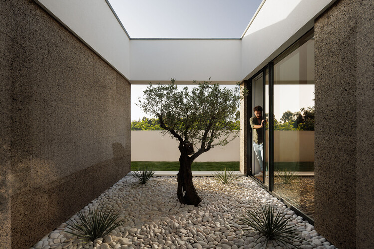AS House / Mário Alves arquiteto - Фотография интерьера, окон, фасада