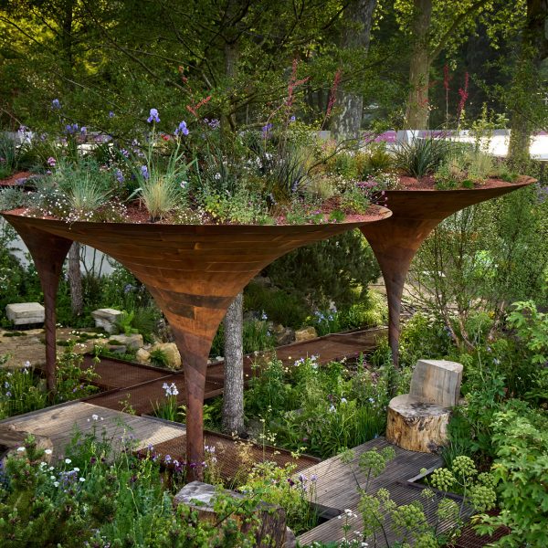 Studio Weave и Tom Massey проектируют сад с павильоном для сбора дождевой воды