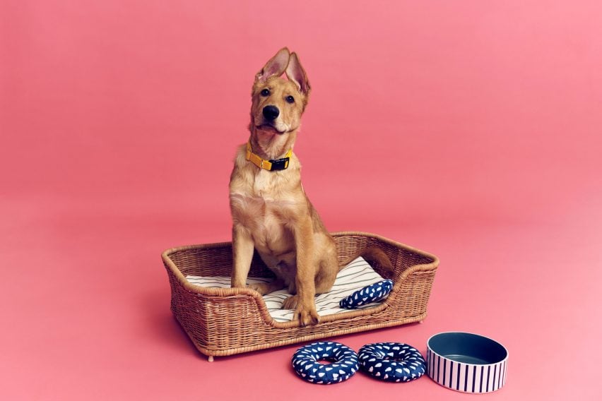 Собака села на ротанговую кровать для коллекции домашних животных ИКЕА