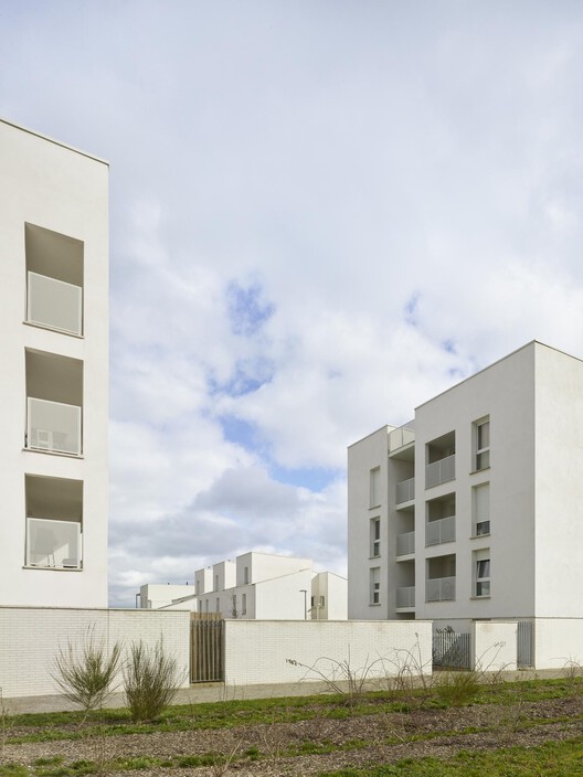 Melrose Housing / Taillandier Architectes Associés - Экстерьерная фотография, окна, фасад