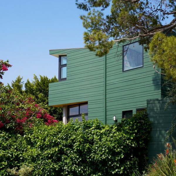 Деревянная зеленая облицовка обертывает Denton House от Martin Fenlon Architecture