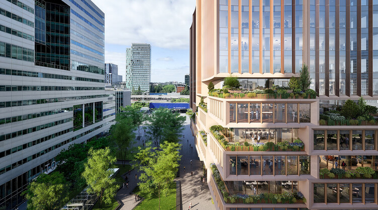   3XN GXN представляет проект офисного здания из гибридной древесины в районе Зейдас в Амстердаме — изображение 2 из 2