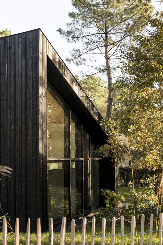 Дом на деревьях / OECO Architects — изображение 21 из 26