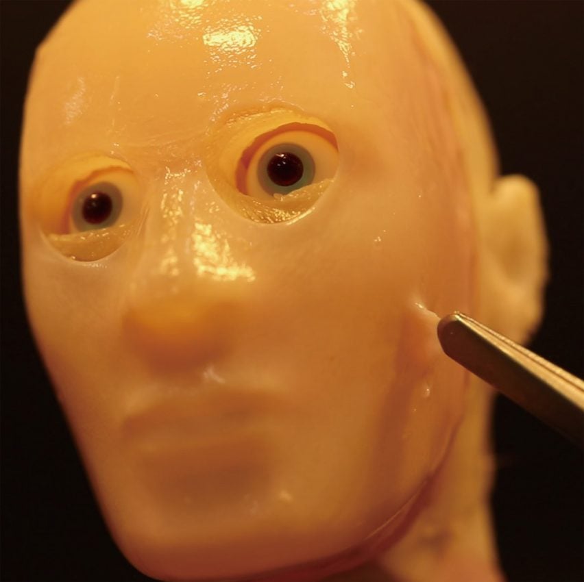 Живая кожа на прототипе 3D-формы лица, созданном исследователями Токийского университета