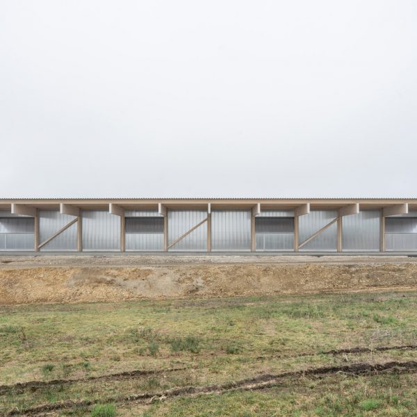 Aretz Dürr Architektur строит деревянный склад Halle S 46 в Германии
