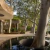 Цилиндрические пустоты вмещают деревья в мексиканском доме от MCxA Group